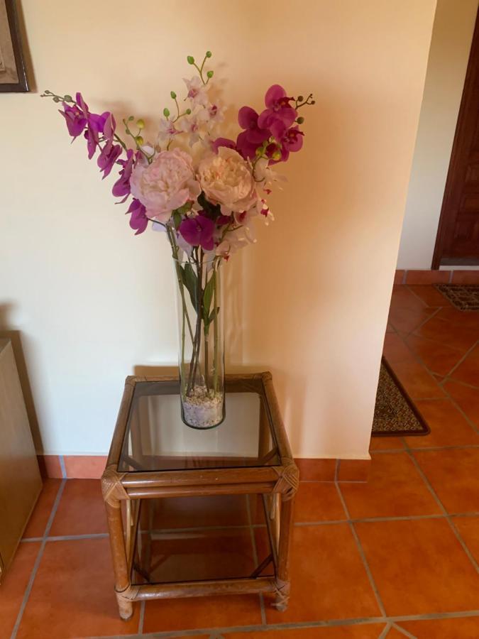 Appartement Casa Fraile San Miguel à San Miguel de Allende Extérieur photo